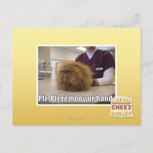 Plz remoov ur hand postcard