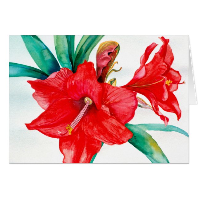 PMACarlson  Red  Amarylis Card (Front Horizontal)