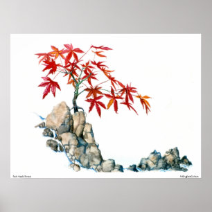 PMACarlson  Red Maple Bonsai Poster