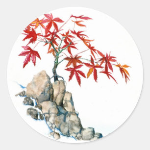 PMACarlson Red Maple Bonsai Sticker