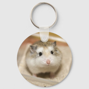 PMT the baby hamster: Stare Key Ring