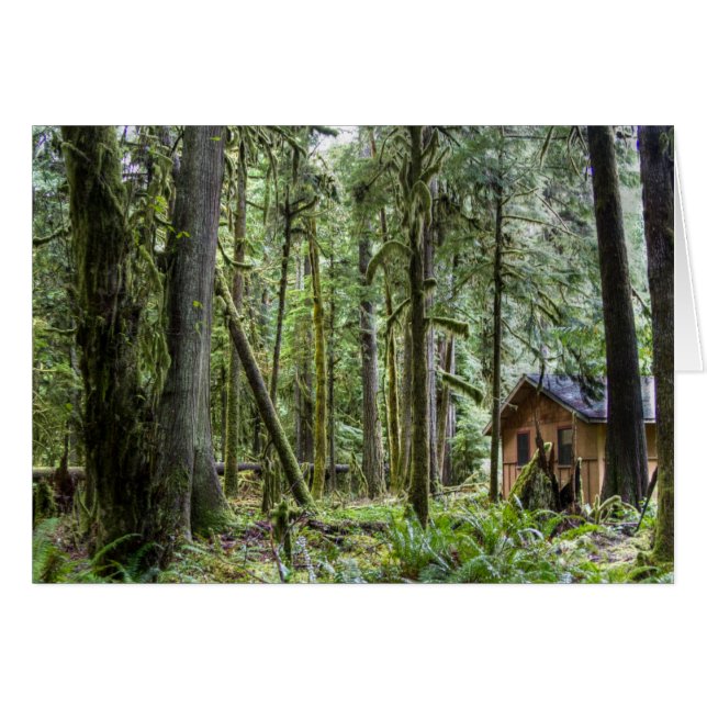 PNW Cabin (Front Horizontal)