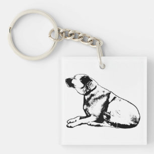 Pocket Balance Key Ring