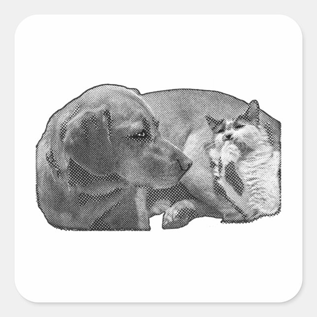 Pocket Ceasefire Square Sticker (Front)