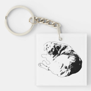 Pocket Curl, Loyal Glance Key Ring