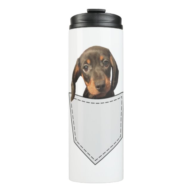 Pocket Dog Dachshund  Thermal Tumbler (Front)