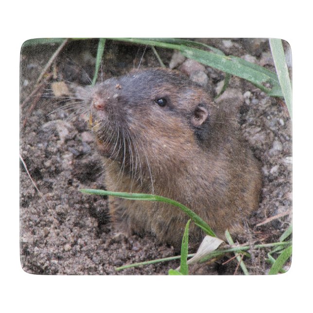 Pocket Gopher Cutting Board (Front)