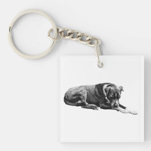 Pocket Lounge Dog Keychain