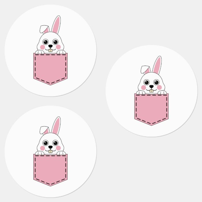 Pocket Pet Bunny (Group)