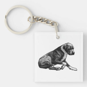 Pocket poise key ring
