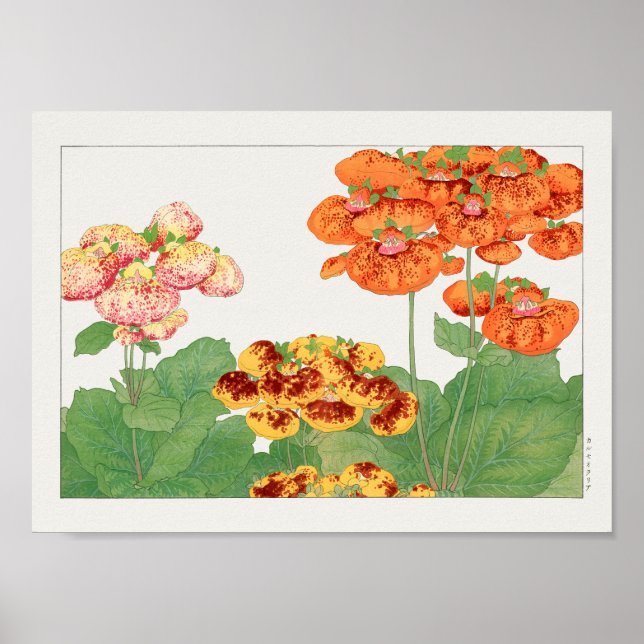 Pocketbook plant by Tanigami Konan Poster (Front)