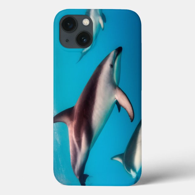 Pod of Dusky Dolphins off of Kaikoura Case-Mate iPhone Case (Back)