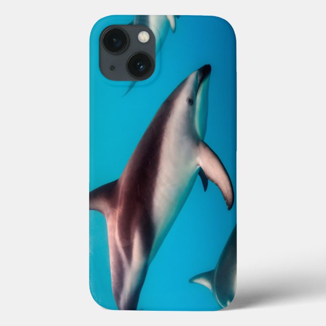 Pod of Dusky Dolphins off of Kaikoura Case-Mate iPhone Case (Back)