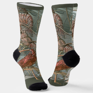 Pod of Lobsters in the Ocean, Vintage Art Nouveau Socks