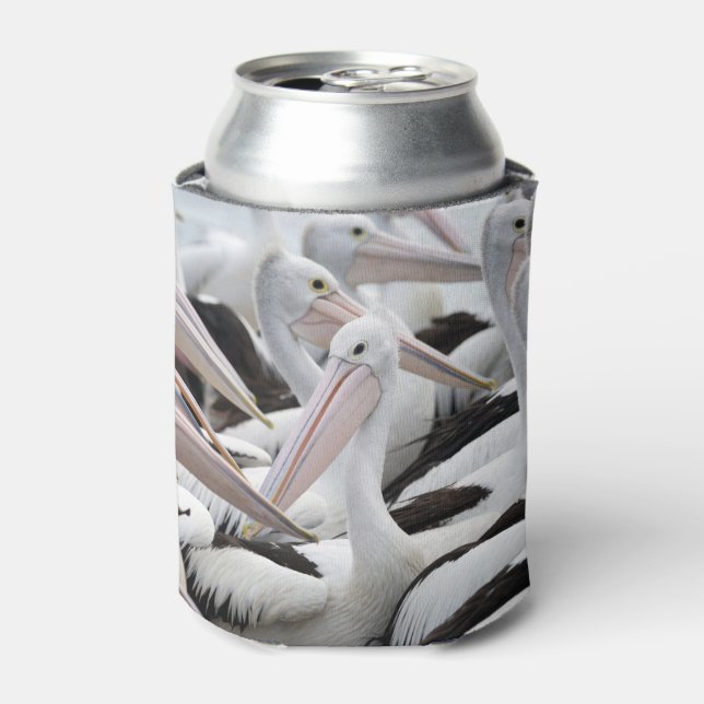 Pod of Pelicans Can Cooler (Can Front)
