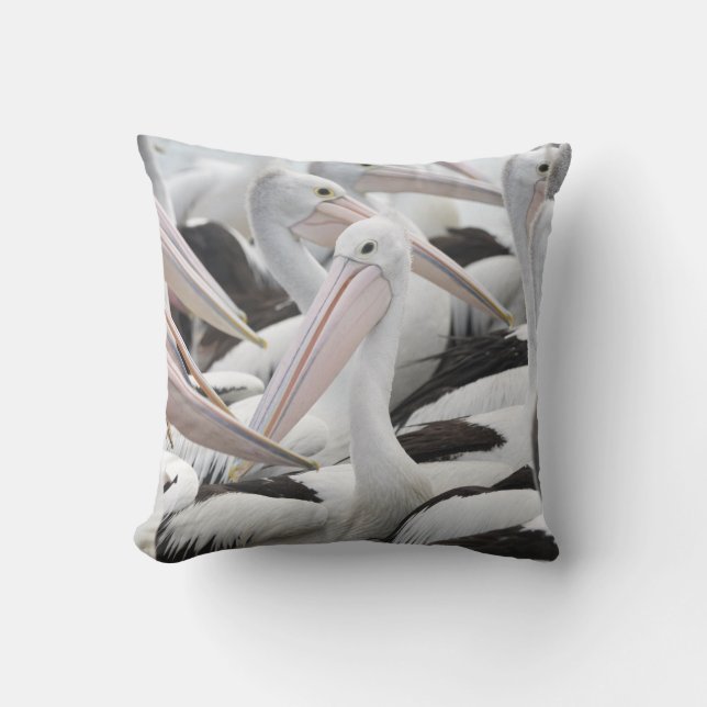 Pod of Pelicans Cushion (Front)