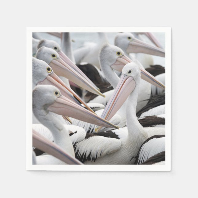 Pod of Pelicans Napkin (Front)