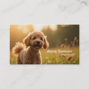 Poddle Dog Business Card