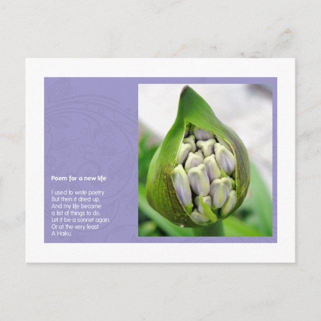 Poem for a new Life Postcard (Front)