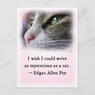 Poe's Cat Postcard