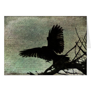 Poe's Raven
