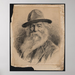 Poet Walt Whitman Portrait by Valerian Gribayedoff Poster