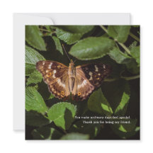 Poetic Butterfly Thank You for Friendship