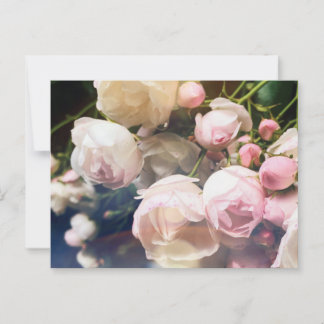 Poetry of Roses Collection Postcard