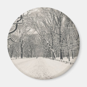 Poet's Walk - Central Park Winter Magnet