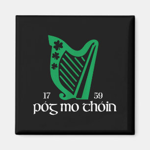 Póg Mo Thóin Ireland Funny Lucky Irish Green St Pa Magnet