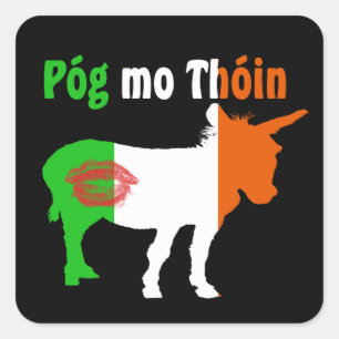 Pog Mo Thoin - Irish Humour Square Sticker