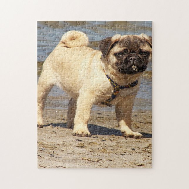 poggy dog baby  jigsaw puzzle (Vertical)