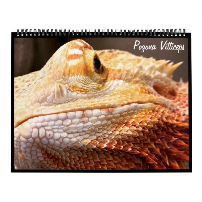 Pogona Vitticeps Bearded Dragon Calendar (Cover)