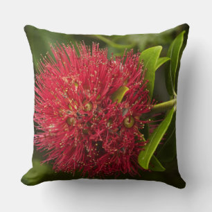 Pohutukawa Flower, Dunedin Cushion