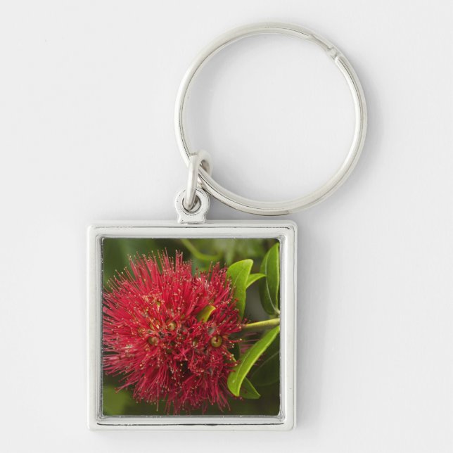 Pohutukawa Flower, Dunedin Key Ring (Front)