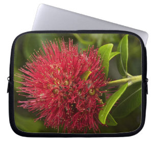 Pohutukawa Flower, Dunedin Laptop Sleeve