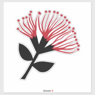 Pohutukawa Flower , New Zealand