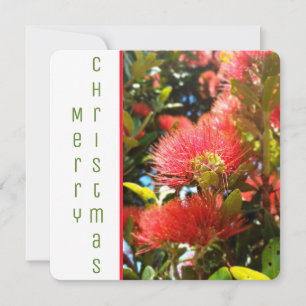 POHUTUKAWA FLOWER NZ HAPPY HOLIDAY COMPANY LOGO  CARD