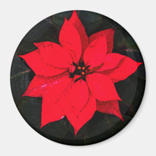 Poinsettia 6078 magnet