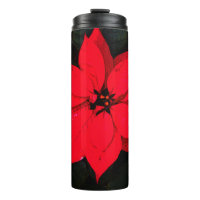 Poinsettia 6078