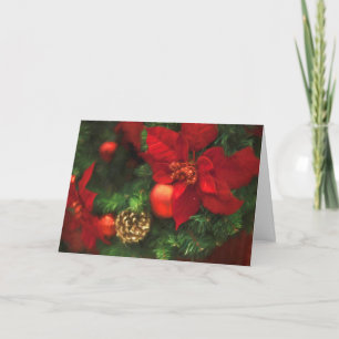 Poinsettia Beauty Holiday Card