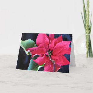 Poinsettia Card