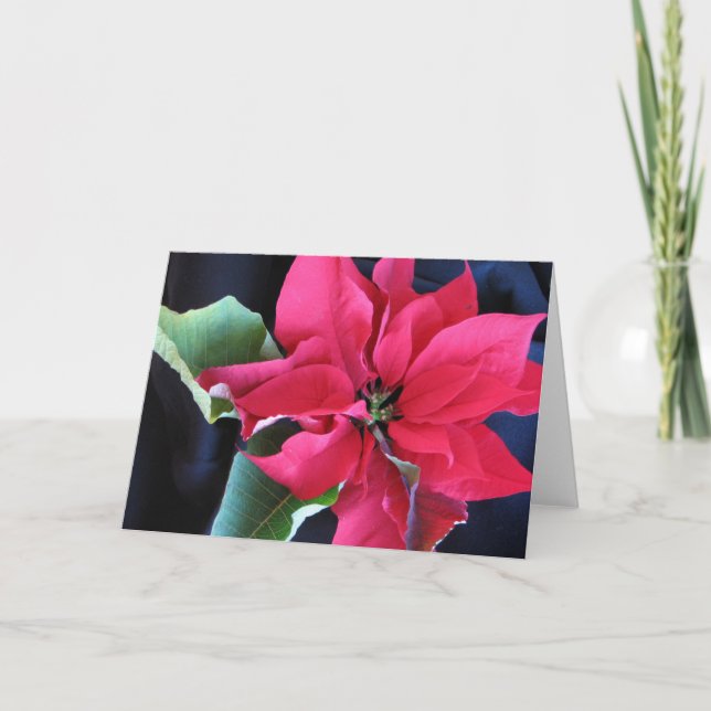 Poinsettia Card (Front)