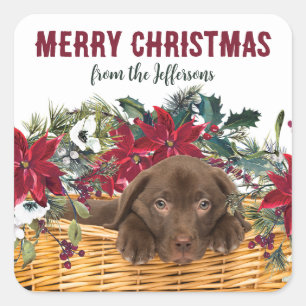 Poinsettia Chocolate Lab Puppy Christmas Square Sticker