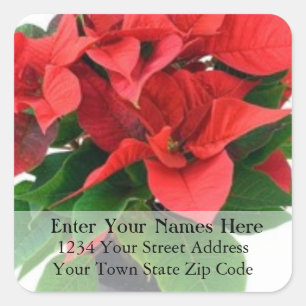 Poinsettia Christmas Return Address Label