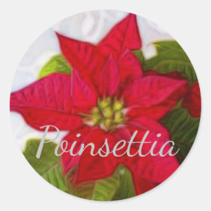 Poinsettia Classic Round Sticker