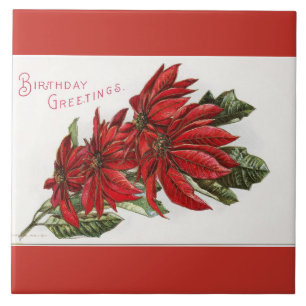 Poinsettia December Birthday Large Square Tile