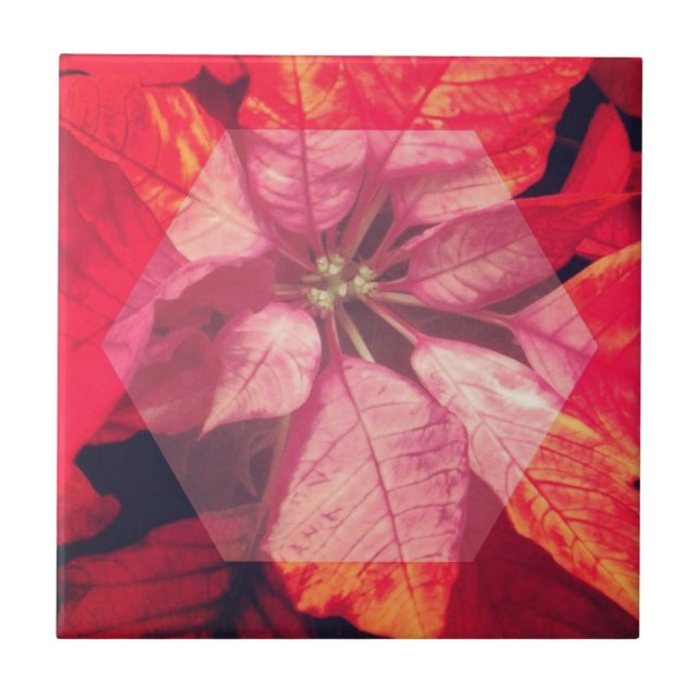 Poinsettia Digital Art Tile (Front)