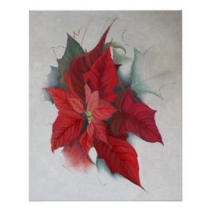 Poinsettia Flower Christmas Oil Painting Poster