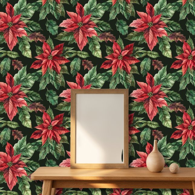 Poinsettia flower Christmas  Wallpaper (Creator Uploaded)